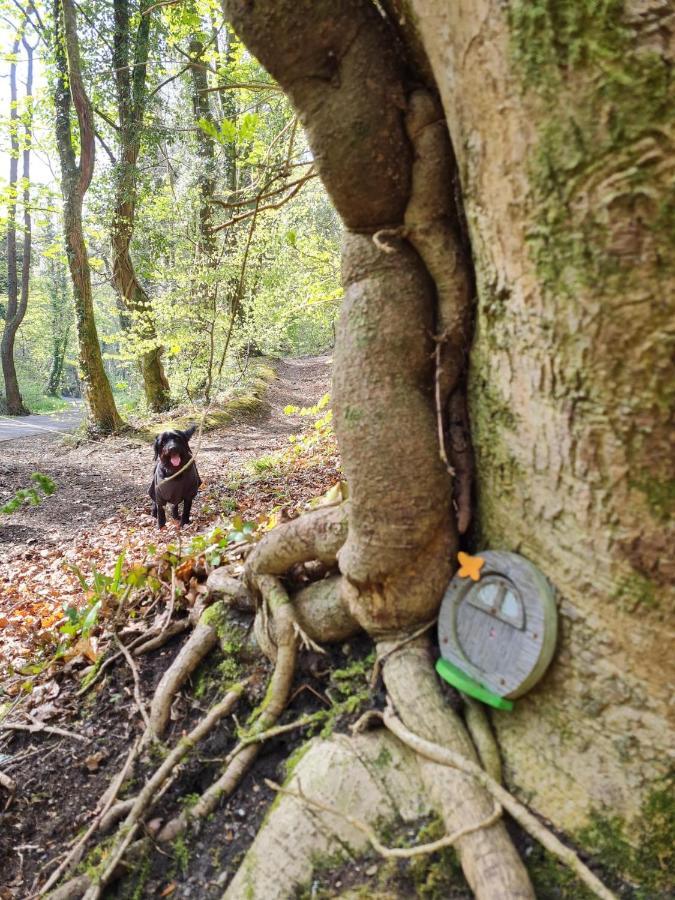 Old Road Cottage Pet Friendly Outdoors Beaches نيث المظهر الخارجي الصورة