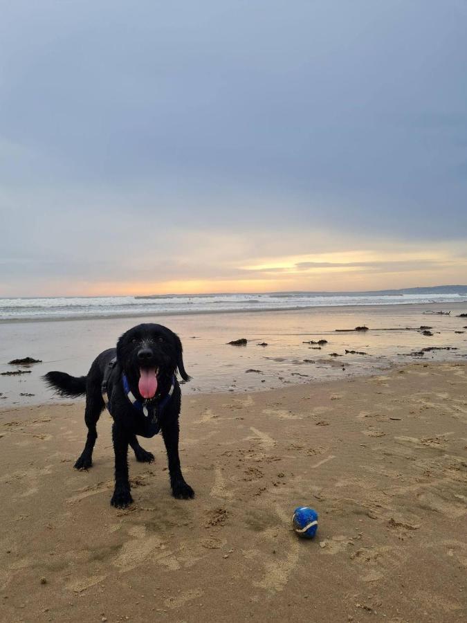 Old Road Cottage Pet Friendly Outdoors Beaches نيث المظهر الخارجي الصورة